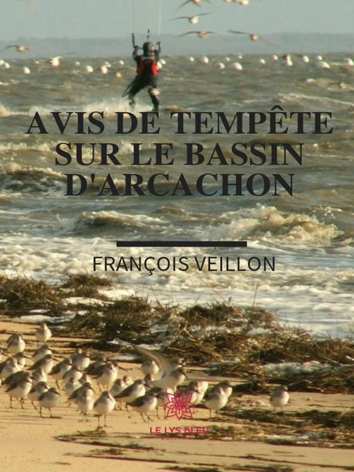 Cover image for Avis de tempête sur le bassin d'Arcachon